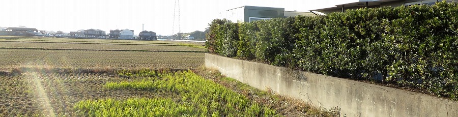 教室付近風景 教室付近風景